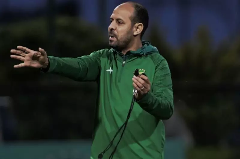 عماد النحاس